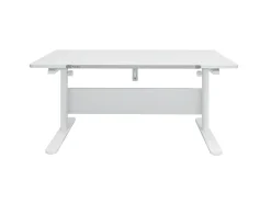 FLEXA Desks*Evo Study Desk - fixed desktop