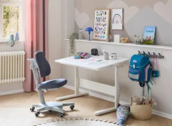 FLEXA Study Chairs*Study Chair