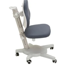 FLEXA Study Chairs*Study Chair